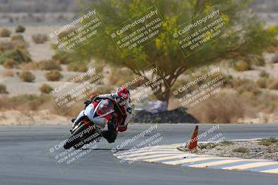 media/Apr-10-2022-SoCal Trackdays (Sun) [[f104b12566]]/Turn 5 Tree of Life (1040am)/